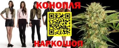 гидра Краснознаменск