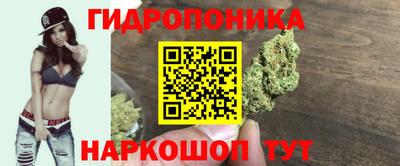 гидра Краснознаменск