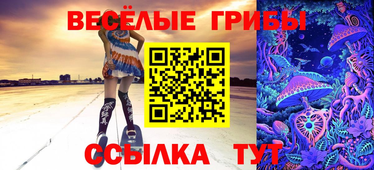Каменка  Галлюциногенные грибы мицелий  Вход с VPN 